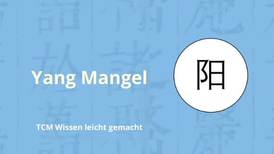 Yang Mangel TCM Kurs