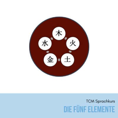 TCM Sprache Fünf Elemente