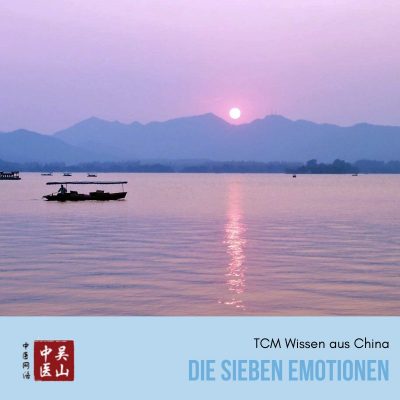 Die sieben Emotionen in der TCM