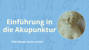 Einführung in die Akupunktur