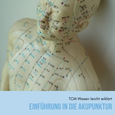 Online Kurs Einführung in die Akupunktur