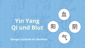 Yin Yang Qi und Blut - Mangel Zustände im Überblick