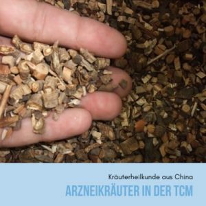 Arzneikräuter in der TCM