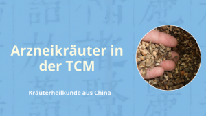 Arzneikräuter in der TCM erlernen