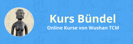 TCM Kurs Bündel