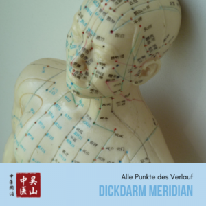 Dickdarm Meridian