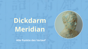 Dickdarm Meridian Kurs