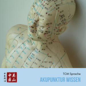 TCM Sprache - Akupunktur Wissen