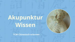 TCM Sprache - Akupunktur Wissen erlernen