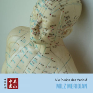 Milz Meridian