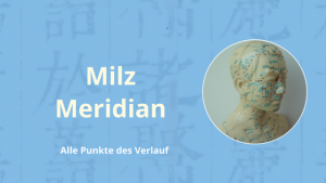 Milz Meridian TCM