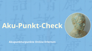 Aku-Punkt-Check Kurs