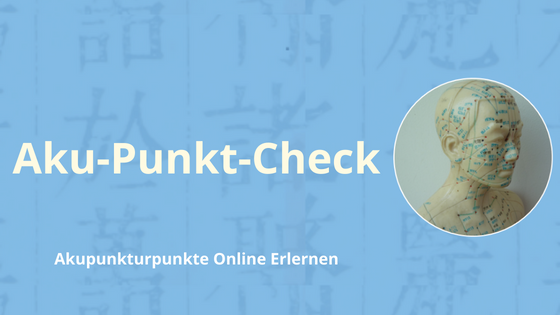 Aku-Punkt-Check Kurs