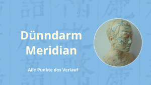 Dünndarm Meridian Kurs