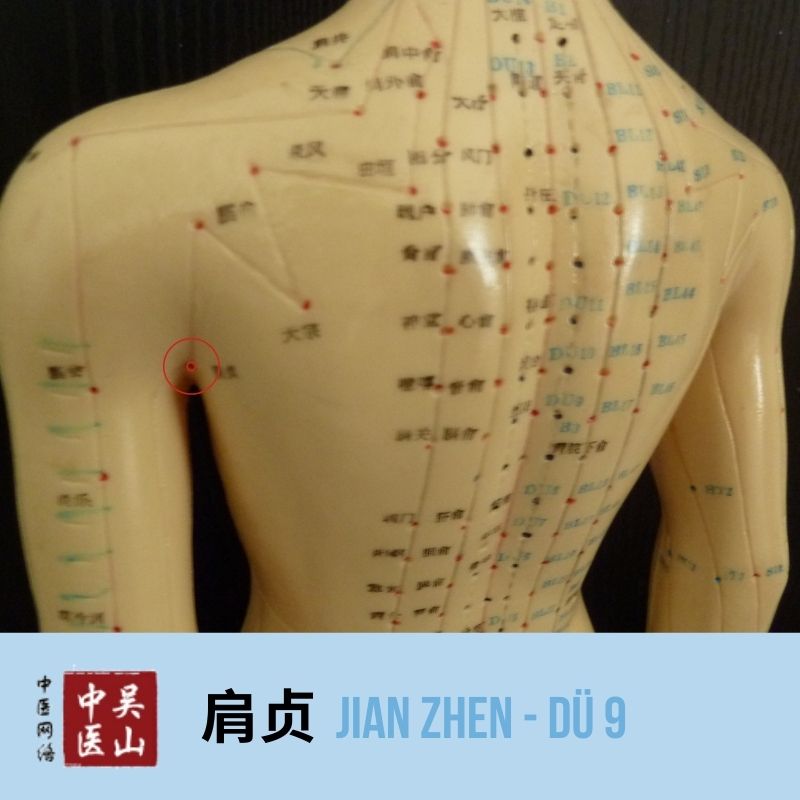 Jian Zhen - Dünndarm 9