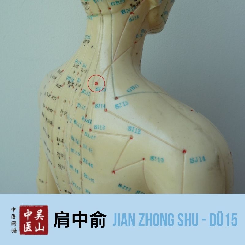 Jian Zhong Shu - Dünndarm 15