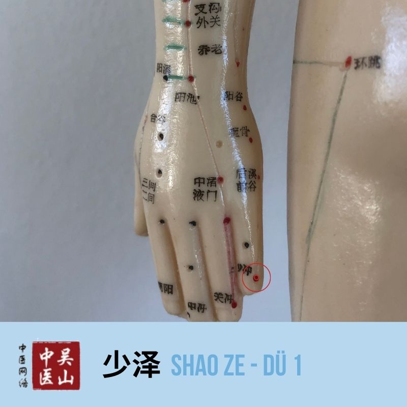 Shao Ze - Dünndarm 1
