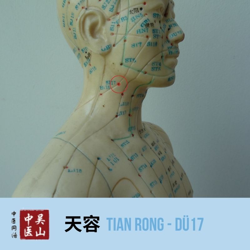 Tian Rong - Dünndarm 17