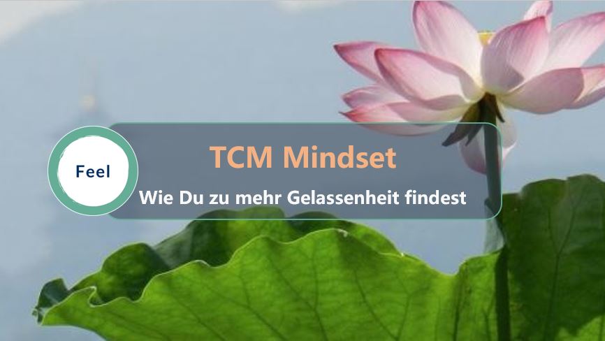 TCM-Mindset