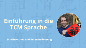Einführung in die TCM Sprache