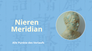 Lerne über den Nieren Meridian