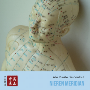 Nieren Meridian